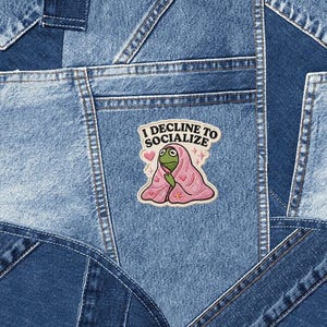 I Decline To Socialize Kermit Frog Meme Patch embroidery Animal Iron On Jackets