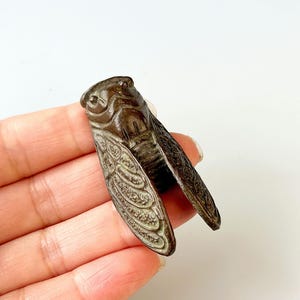 Puede incluir: Una figura de cigarra de color bronce con patrones de alas detallados. La escultura del insecto se sostiene en una mano, mostrando su intrincado diseño y superficie texturizada. Las alas de la cigarra están ligeramente abiertas.