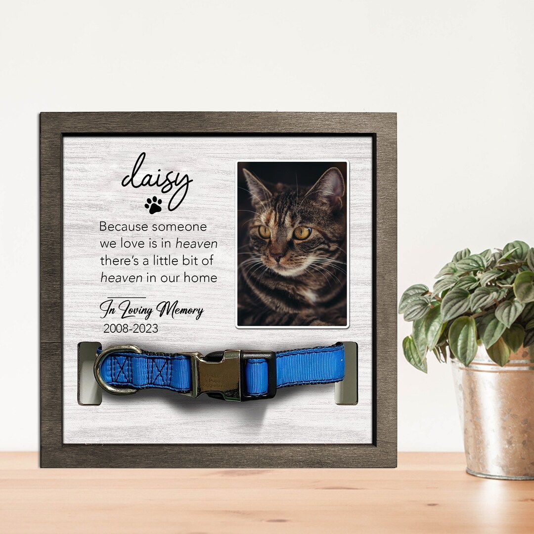 Personalized Memorial Pet Collar Sign Dog Collar Memorial Etsy