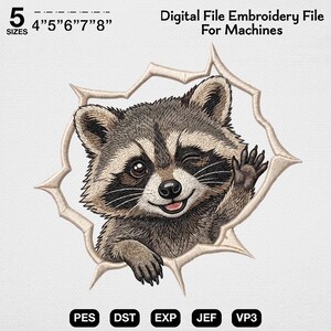 Raccoon Embroidery Design, 3D Ripped Hole Machine File, Trash Panda Peekaboo Pattern, Cute Winking Animal, Funny Wildlife Decor