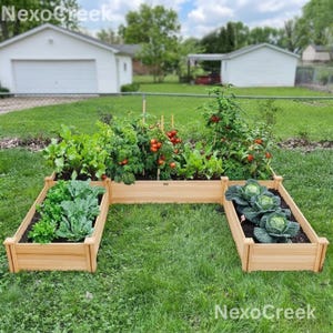 May include: A wooden raised garden bed filled with various vegetables, including tomatoes, cabbage, and leafy greens. The garden bed is U-shaped and sits on a grassy lawn. The image includes the text "NexoCreek".