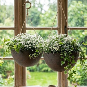 indoor plants delivery New Jersey Blooms Plant Subscription | Succulents & Cacti main image 1