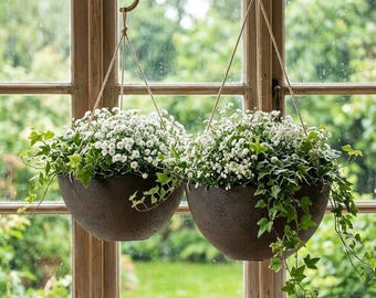indoor succulent wall planter Succulent Wall Planter Kit