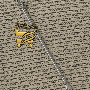 May include: A silver pointer, with a crown-shaped top and chain, against a backdrop of Hebrew script. Used for following text when reading.