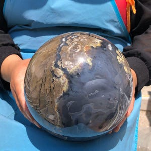 May include: A large, polished spherical stone featuring a complex pattern of dark gray, brown, and cream-colored mineral inclusions. The surface is smooth and reflective, displaying natural cracks and swirling organic textures throughout the orb.