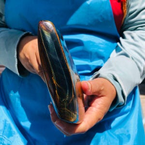 May include: A polished, smooth, elongated piece of tiger's eye gemstone featuring deep blue and black bands contrasted with vibrant golden-brown chatoyant streaks. The stone has a curved, rounded shape and a reflective, glossy surface finish.