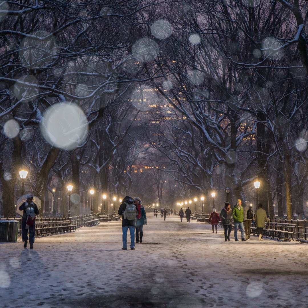 Snowfall at Central Park Mall NYC Winter at Night New York Snow