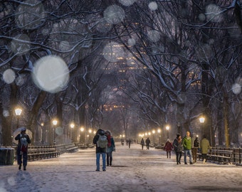 Snowfall at Central Park Mall - NYC Winter at Night - New York Snow - Snowflakes in Central Park - New York City Photography