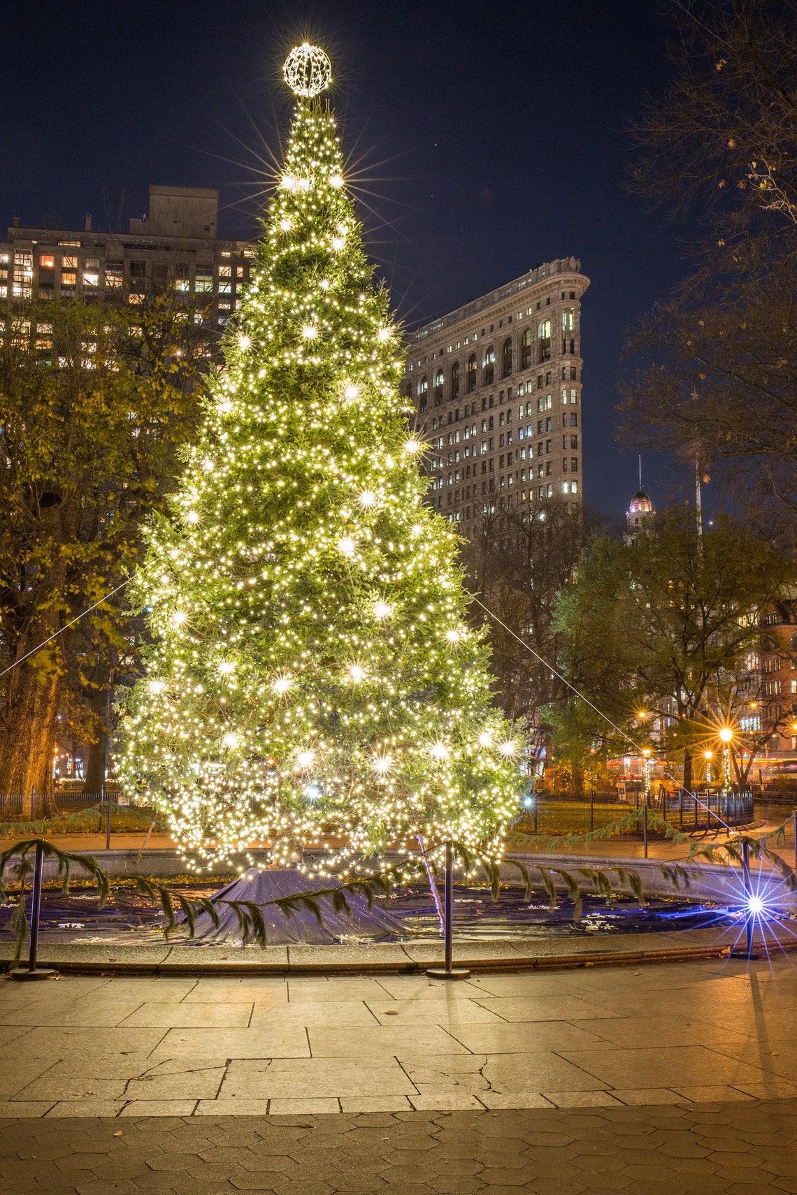 Christmas Tree et Madison Square Park New York à Noël - Etsy France