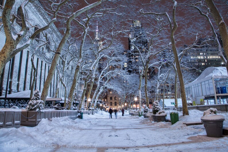Bryant Park During the Winter NYC in the Snow New York at Etsy