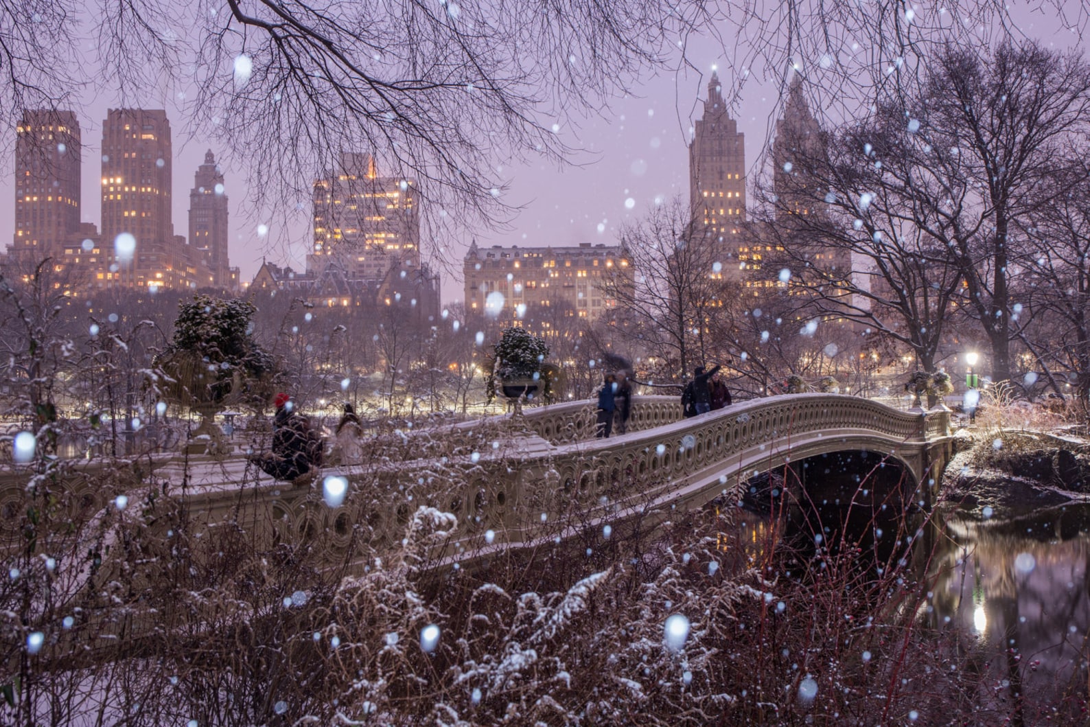 Bow Bridge in the Snow Central Park During the Winter at Night New York