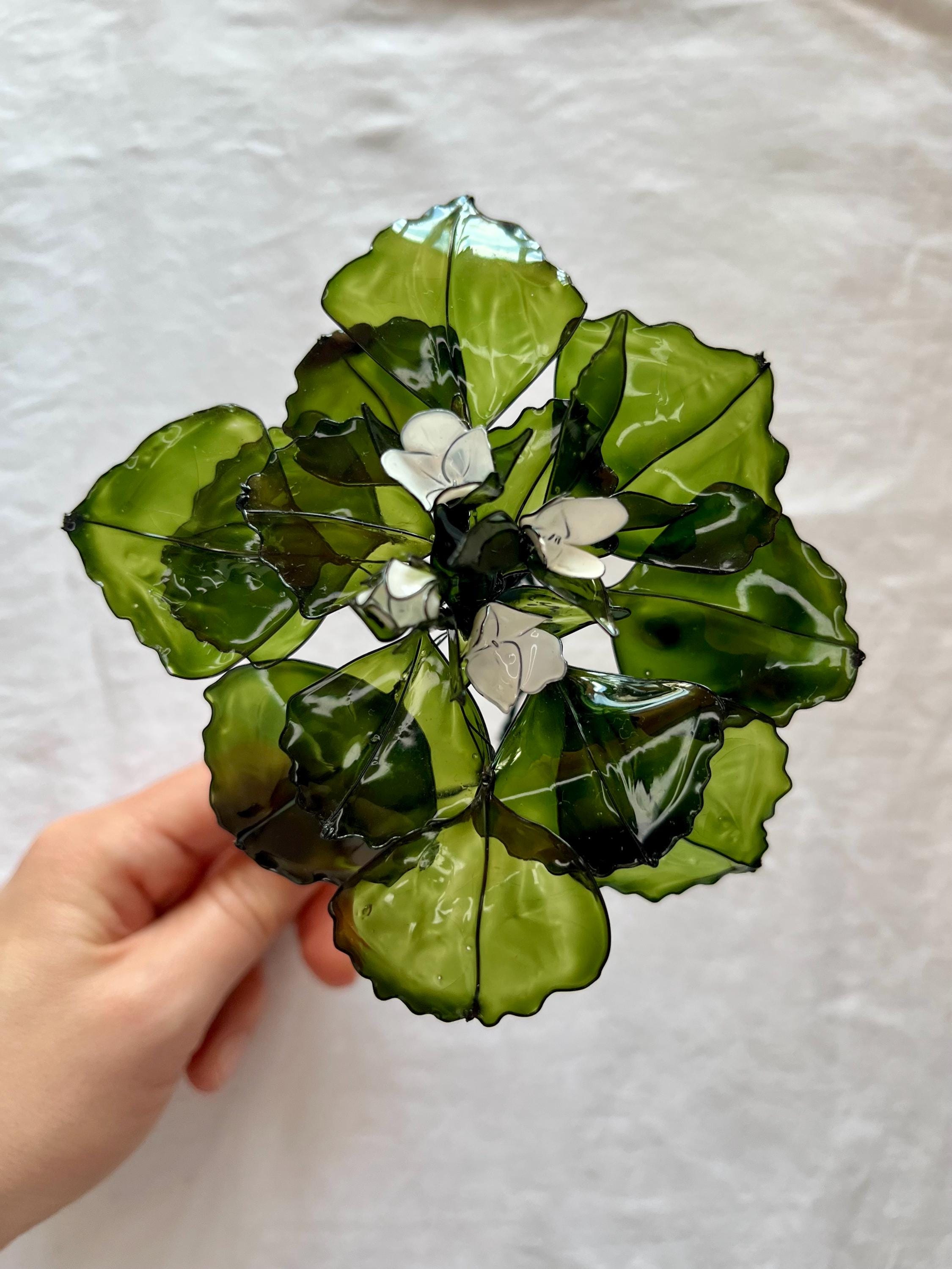 Water chestnuts - Etsy 日本