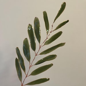 Puede incluir: Una rama de hojas decorativa hecha a mano, con hojas verdes brillantes y un tallo de alambre de cobre. Las hojas son alargadas y dispuestas a lo largo del tallo, creando una estética natural y botánica.