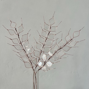 Escultura botánica: Espiga de trigo transparente, decoración botánica hecha a mano, símbolo ucraniano, arte en alambre y resina.