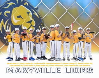 Custom Vinyl Team Banner: Photo & Logo, Event Sign