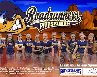 Custom Printed Vinyl Sports Banner: Team & Event Banner