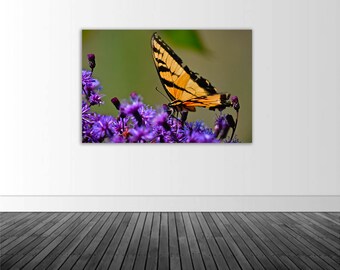 Butterfly Wall Decal, Monarch Butterfly, Vinyl Wall Decal, Butterfly Art, Photo by Abby Smith, Home Decor, Wall Graphics, Macro Photography