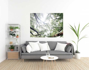 Nature Scape, Tree Canopy Decal, Home Decor, Wall Art, Tree Canopy, Calming Room Decor, Forest Photo, Photography, Trees, Serene Tree Decor