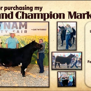 May include: A black steer, the 2021 Grand Champion Market Steer, stands in a show ring with four people standing behind it. The steer is wearing a blue rope halter. The sign behind the steer reads "POET PUTNAM COUNTY FAIR - SHOWTIMES".