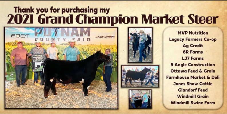 May include: A black steer, the 2021 Grand Champion Market Steer, stands in a show ring with four people standing behind it. The steer is wearing a blue rope halter. The sign behind the steer reads "POET PUTNAM COUNTY FAIR - SHOWTIMES".