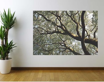 Tree Wall Decal, Tree Canopy, Nature Scape, Serene Tree Decal, Tree Branches, Lime Cream Color, Home Decor, Wall Art, Tree Canopy Decal