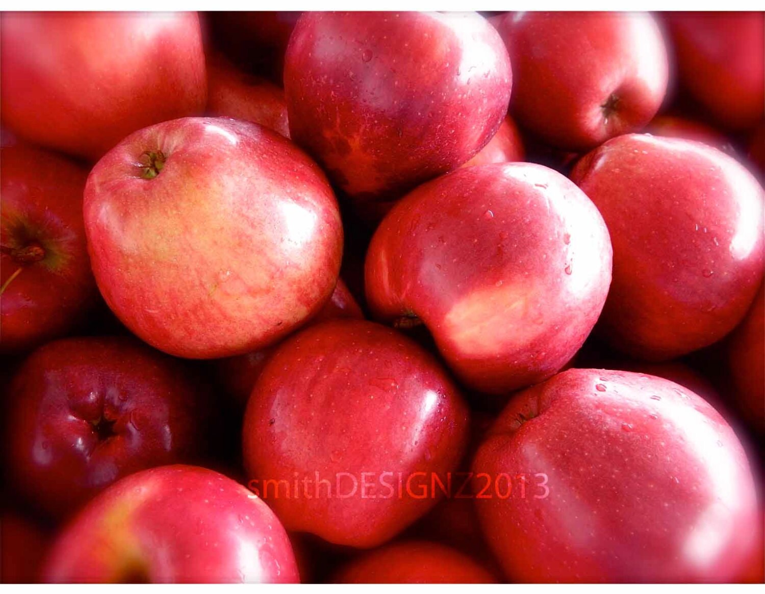Apple Photography Apple Harvest Photo Red Apples Red