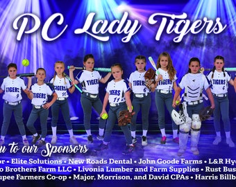 Digital Team Banner, Athletic Banner, Team Sports Banners, Softball Team Banner, Digital Files only, Sponsor Banners, Player Banner, Banners