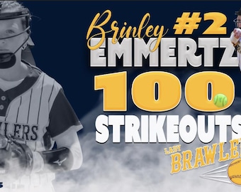 100 Hits Banner, 100 Baseball Hits, Accomplishment Banner, Softball 100 Hits Banner, 100 Wins Banner, 100 Banner, Record Setting Banner