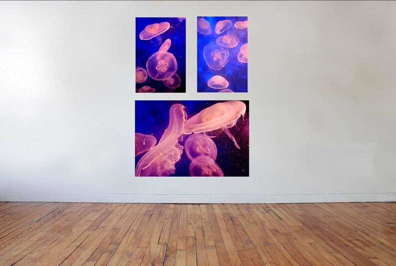 Jelly Fish Decals 3 Wall Decals Ocean Photography Decal Etsy