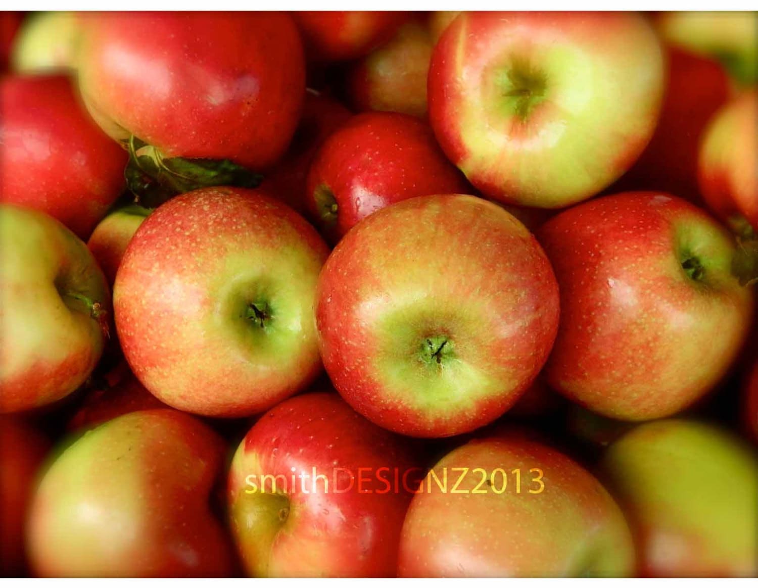Apple Photography Fruit Photography Apples Apple Themed Decor