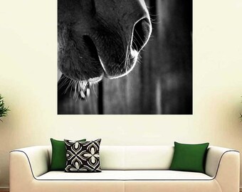 Horse Photo Decal, Horse Vinyl Decal, Vinyl Wall Decal, Equestrian Photo Decal, Horse Lover Decor, Macro Photography, Home Decor, Horse Art