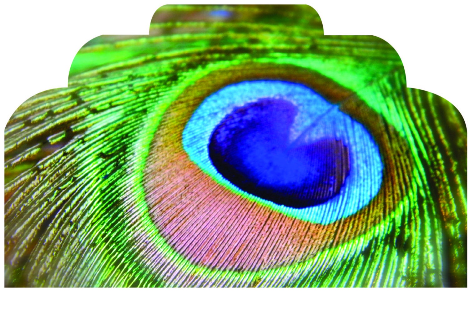 decal headboard bedroom