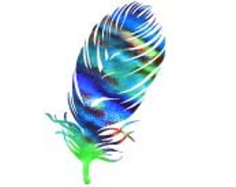 Feather Decal, Vinyl Wall Decal, Rainbow Feather, Silhouette, Photo by Abby Smith, Infinite Graphics, Home Decor, Feather, Vinyl Graphics