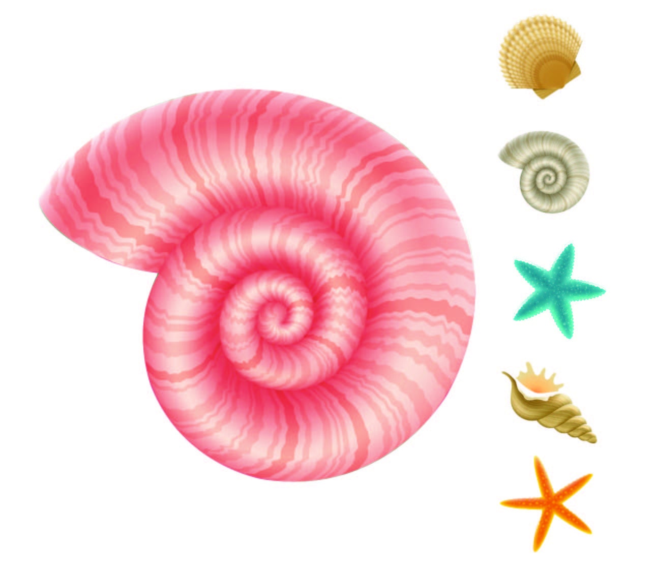 Seashell Wall Decal, Seashell Decor, Vinyl Wall Decal, Seashell Decal