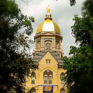 Notre Dame, Golden Dome Photo Print: University Home Decor