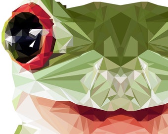 Geometric Frog Print, Polygonal Art, Abstract Print, Frog Art, Symmetric Design, Geometric Wall Accent, Tree Frog Print, Geometric Art