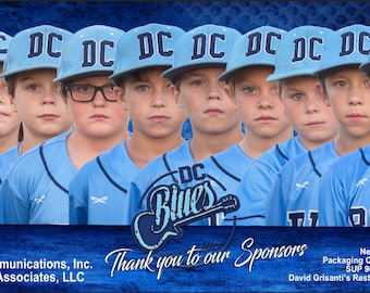 Custom Sports Banners, Vinyl Sports Banners, Personalized Team Banners, Team Sports Banners, Senior Banners, Vinyl Signs, Printed Banners