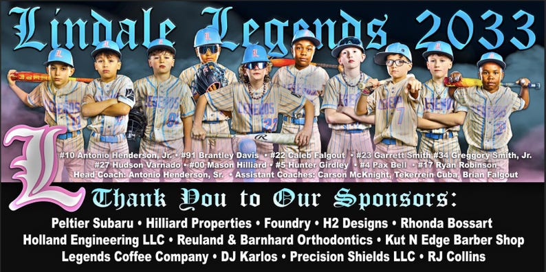 Custom Vinyl Softball Banner: Team, Event, Banner image 1