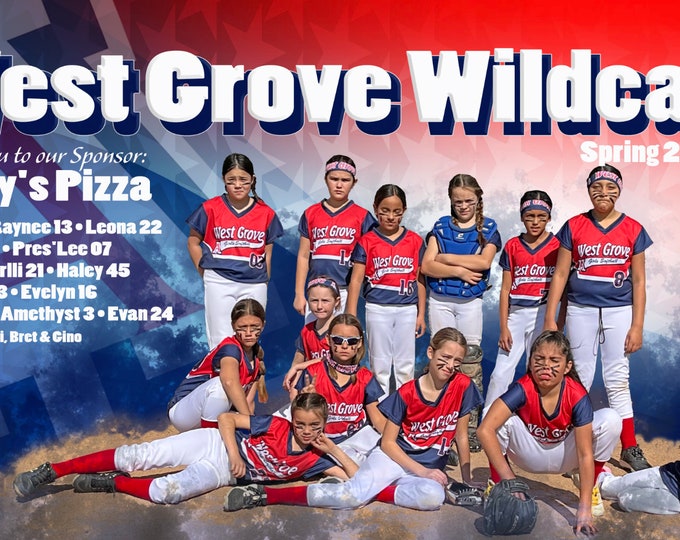 Featured listing image: Custom Sports Banners, Vinyl Sports Banners, Personalized Team Banners, Team Sports Banners, Senior Banners, Vinyl Signs, Outdoor Banners