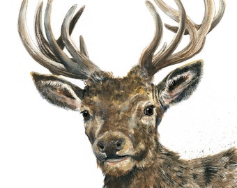 Mounted Limited Edition Giclee Print of 'Stanley' the Stag