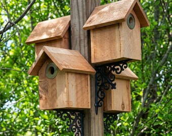 DIY Cedar Birdhouse Plans | Single Fence Picket Backyard Bird House (PDF Download)