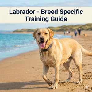 Träningsguide för labrador retriever i PDF-format, träningsplan för labradorvalpar, tips om lydnad och återkallelse, beteendehjälp, e-bok om hundträning med expertvägledning