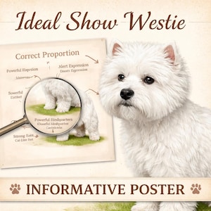May include: An informative poster featuring a West Highland White Terrier, with text that reads "Ideal Show Westie." The poster includes diagrams highlighting the dog's proportions and features. The text "Informative Poster" is also present.