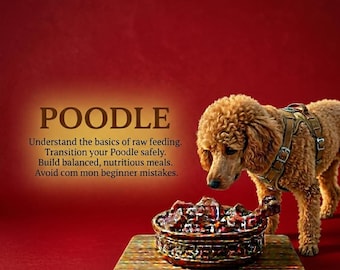 Guida all'alimentazione cruda per barboncini in formato PDF, Piano alimentare naturale per barboncini, Ebook BARF per principianti, Supporto per pelle e pelo, Manuale di nutrizione canina