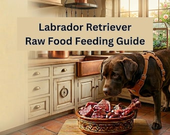 Guía de alimentación cruda para labradores en PDF, plan de dieta natural para labradores, libro electrónico BARF para principiantes, apoyo para el control de peso, manual de nutrición canina. Descárguelo hoy mismo.