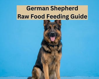 Guide till råfoder för schäferhund i PDF-format, naturlig kostplan, e-bok för nybörjare med BARF, stöd för känslig matsmältning, handbok för hundnäring nedladdning