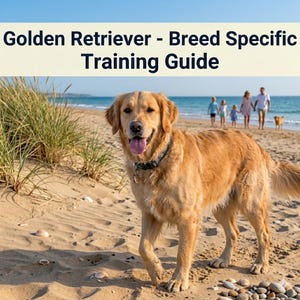 Träningsguide för Golden Retriever i PDF-format, valpträningsplan för Goldie, lydnads- och återkallningsfärdigheter, beteendestöd, e-bok för hundträning i Storbritannien som present