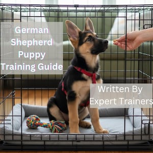 May include: A black and tan German Shepherd puppy wearing a red harness sits inside a black wire crate. The text "German Shepherd Puppy Training Guide" and "Written By Expert Trainers" are visible.