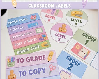 Playful Classroom Supply Labels Editable, Bright Drawer Bin Labels, Teacher Canva DB1
