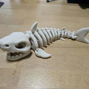 May include: A white shark skeleton model with visible ribs, fins, and a detailed skull. The model is made of a solid material and rests on a wooden surface. The shark skeleton is a decorative item.